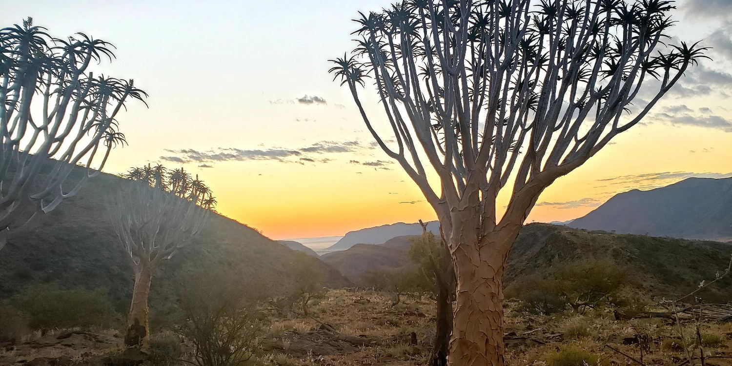 Escape to Namibia's Wilderness