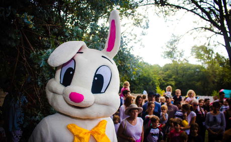 What to Do in Johannesburg Over Easter Weekend