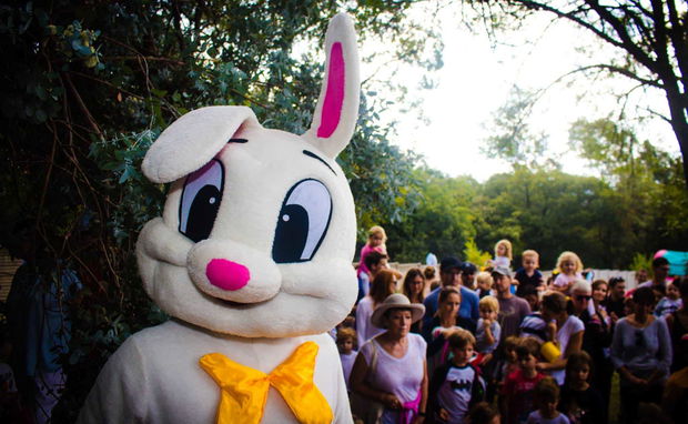 What to Do in Johannesburg Over Easter Weekend