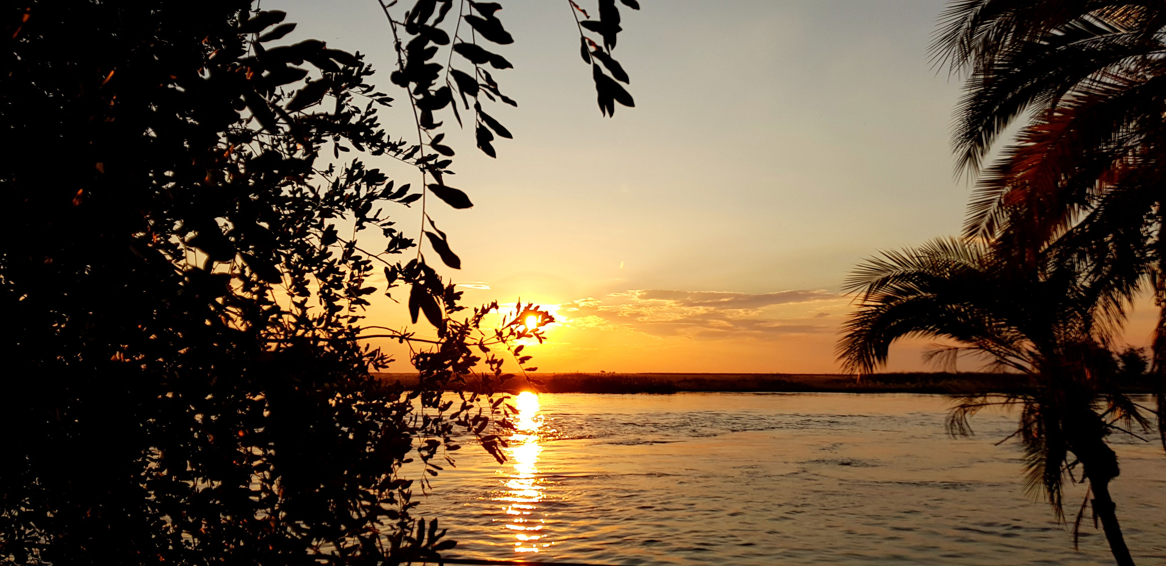 Mobile safari in Botswana. An exclusive way of experiencing the amazing wildlife in Botswana