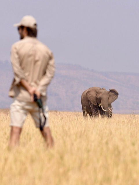 Zimbabwe