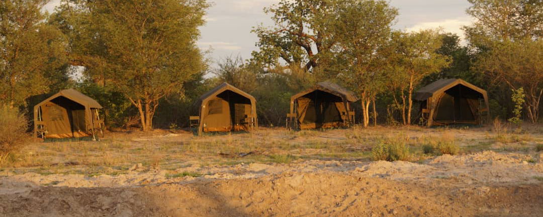 Mobile safari in Botswana. An exclusive way of experiencing the amazing wildlife in Botswana