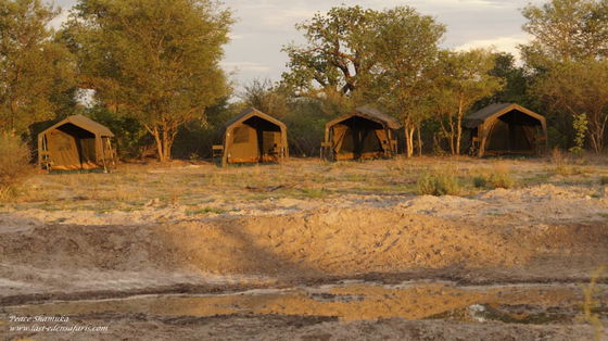 Mobile safari in Botswana. An exclusive way of experiencing the amazing wildlife in Botswana