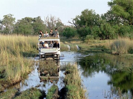 Mobile safari in Botswana. An exclusive way of experiencing the amazing wildlife in Botswana