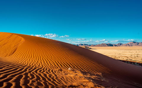 4. Self-Drive Safaris in Namibia