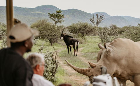 Namibia is the best destination for a selfdrive safari. Beautiful, scenic and with amazing wildlife 