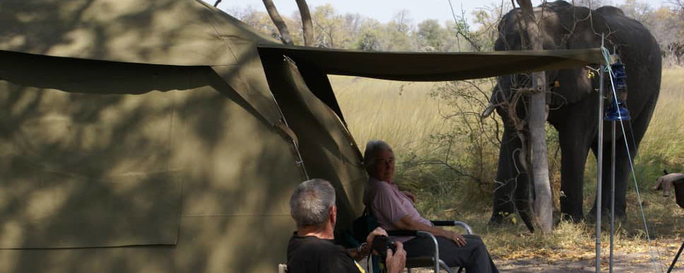 Mobile safari in Botswana. An exclusive way of experiencing the amazing wildlife in Botswana