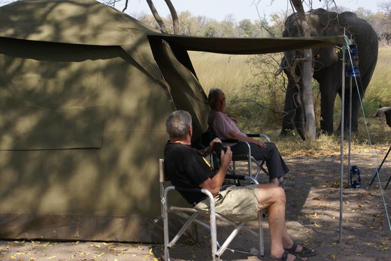 Mobile safari in Botswana. An exclusive way of experiencing the amazing wildlife in Botswana