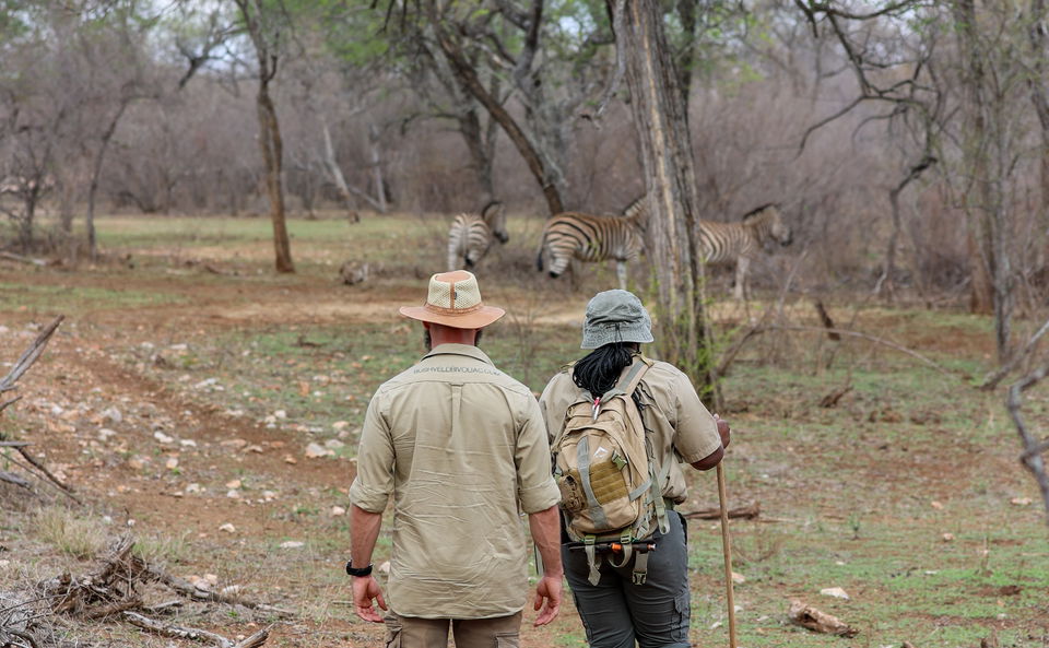 Guided and birding walks