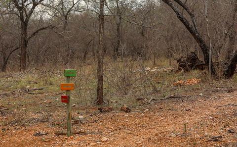 trail running in south Africa, trail running Limpopo
