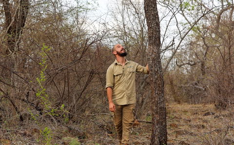 Tree-spotting