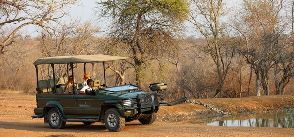 The Bushveld Escape