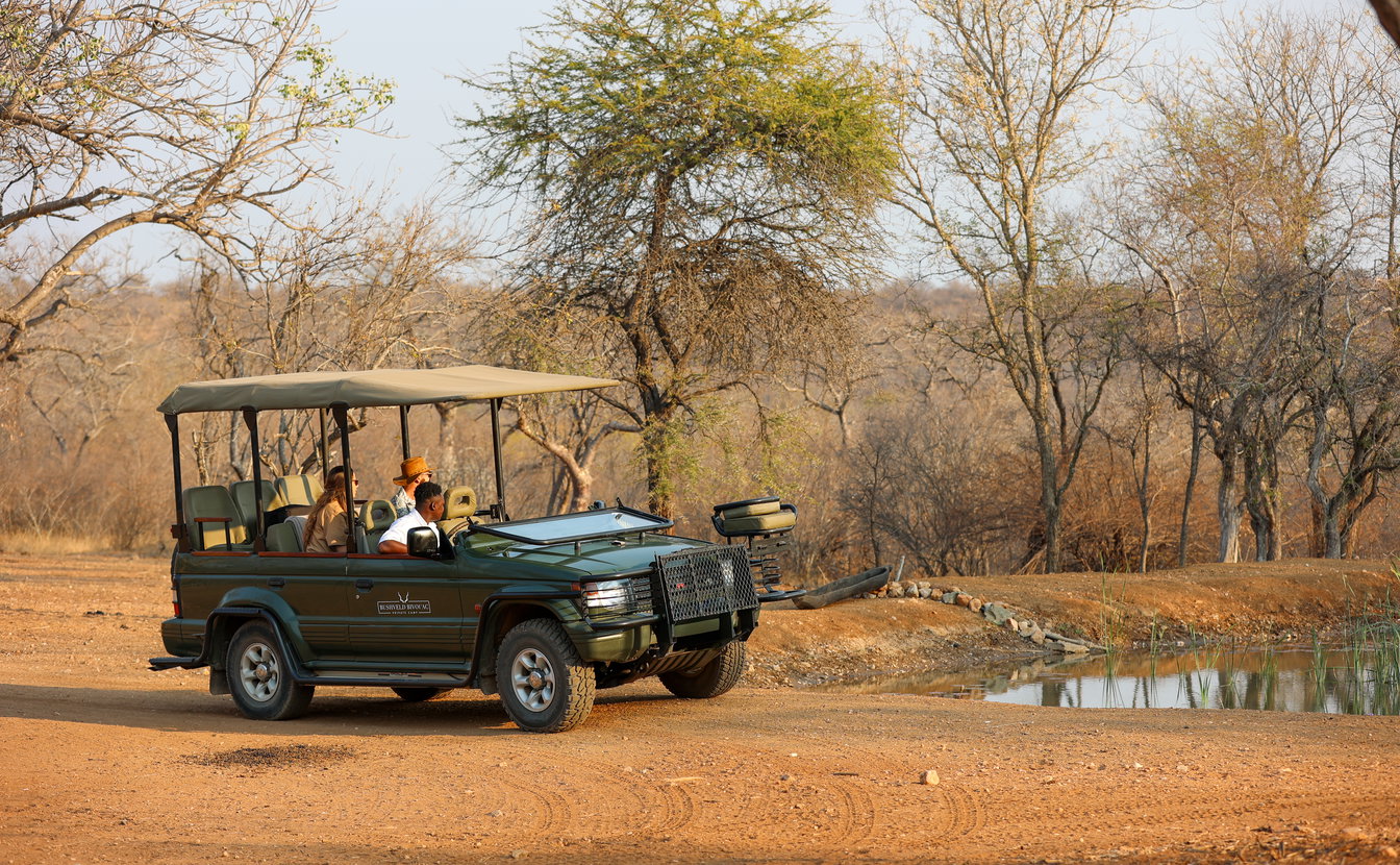 The Bushveld Escape