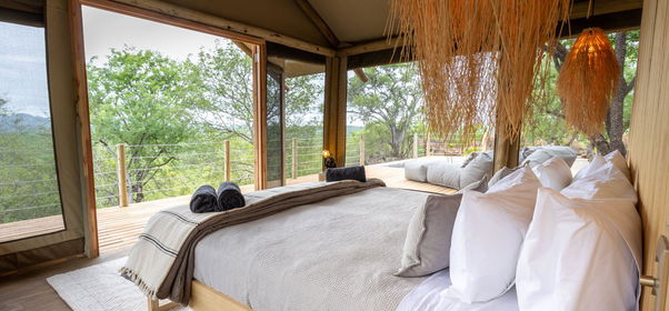 The Full Bush Experience