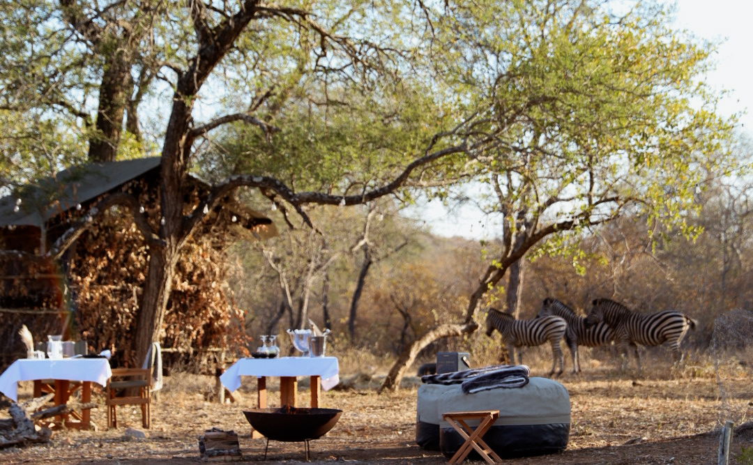 Waterhole Dinner