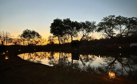 The Waterhole