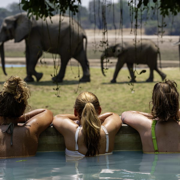Girls watching elephants passing by while they are in the pool at msandile river lodge in south luangwa national park in zambia