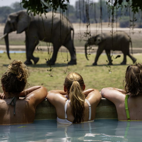 Girls watching elephants passing by while they are in the pool at msandile river lodge in south luangwa national park in zambia