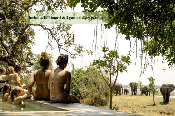 Watching crossing elephants from the pool at msandile river lodge