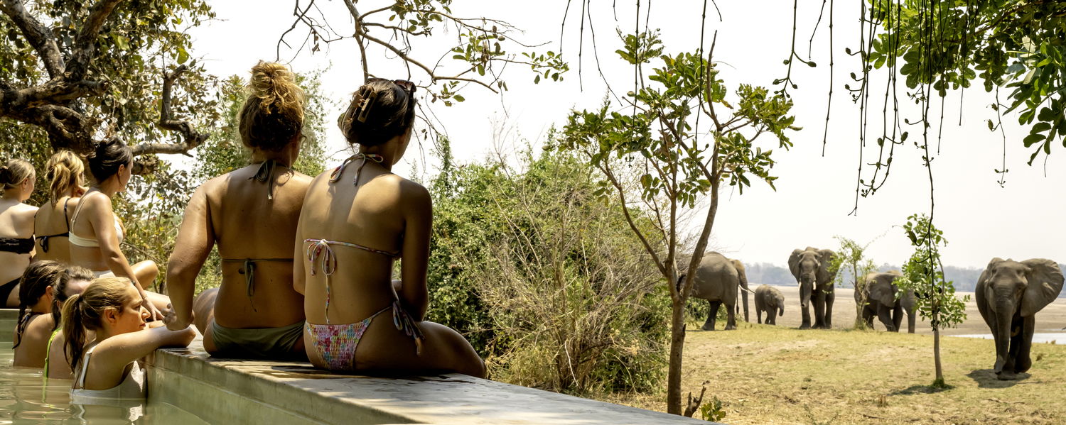 Girls sitting on the swimmingpool at msandile river lodge in zambia watching a herd of elephants coming by after crossing the river