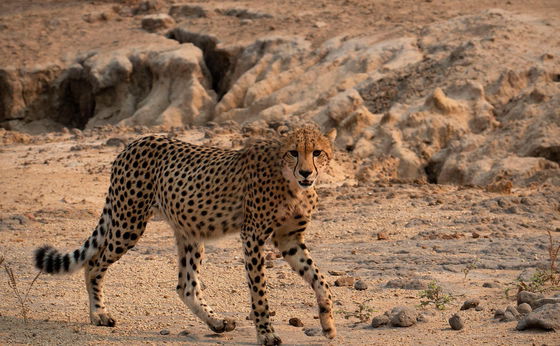 Discover the Magic of Malawi: A Unique and Unforgettable Travel Experience