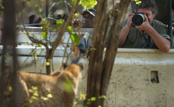 Photo Safari Tours - by World Press photographer