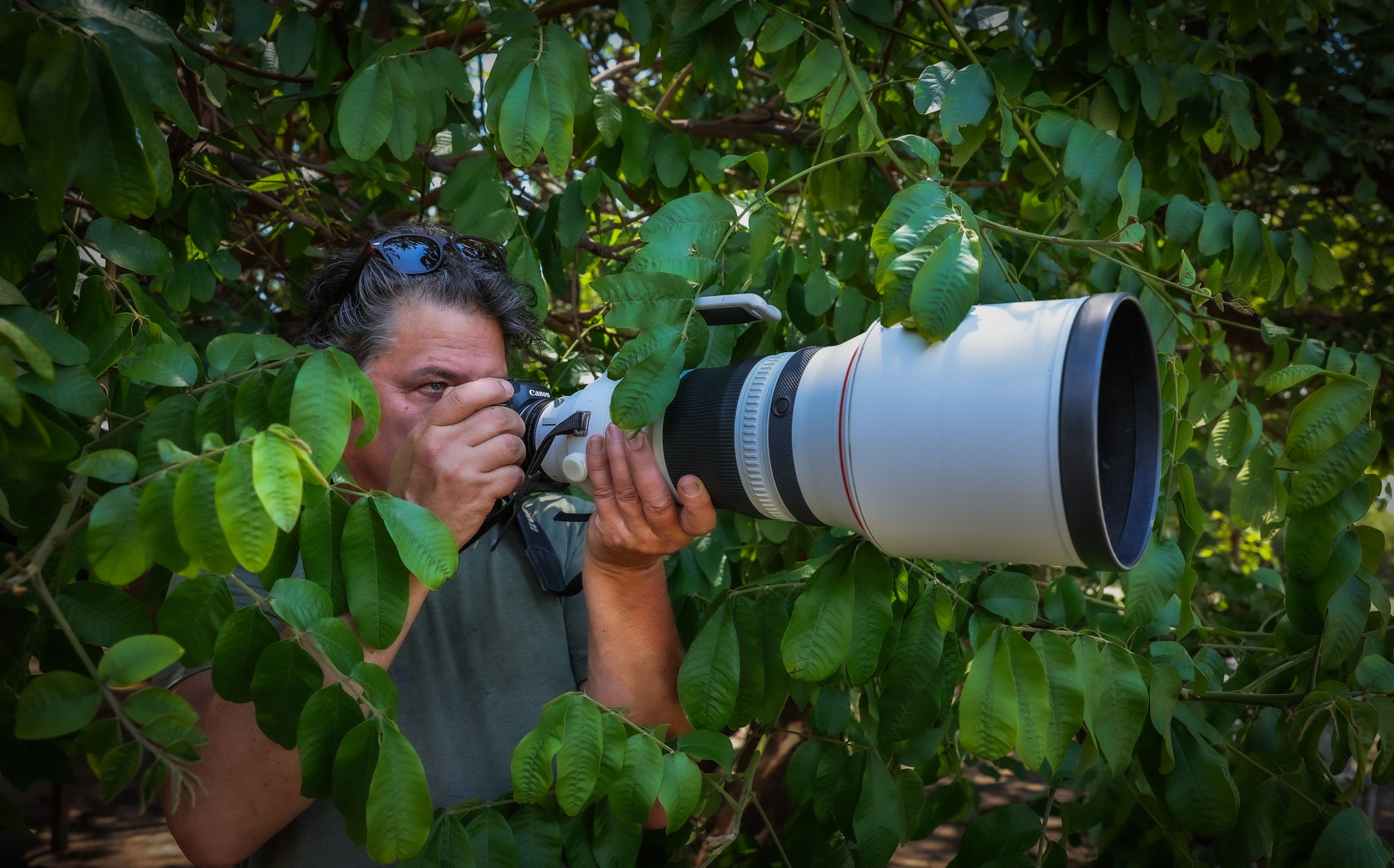 Floris Leeuwenburg making photo of Leopard