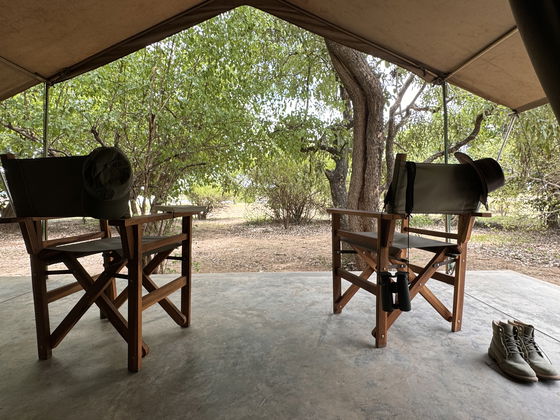 safari tent at Msandile River Lodge