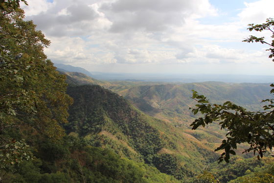 View Mushroom lodge