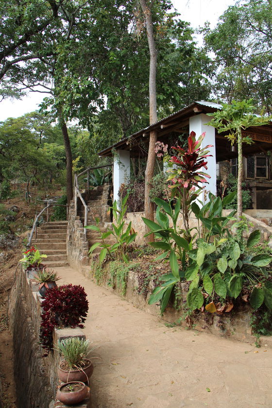 Mushroom lodge