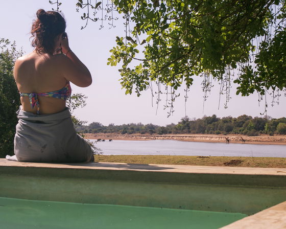 Watching Giraffes from the pool at Msandile River lodge