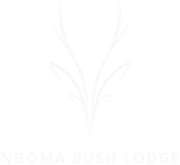 Ngoma Bush Lodge | Rustic Safari Retreat in Hoedspruit