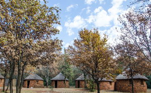 Basotho Huts/Backpackers (with Linen)