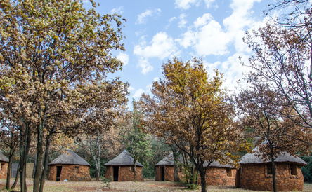Basotho Huts/Backpackers (with Linen)