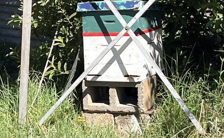 A beehive at Malealea Lodge