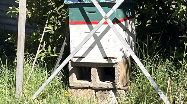 A beehive at Malealea Lodge