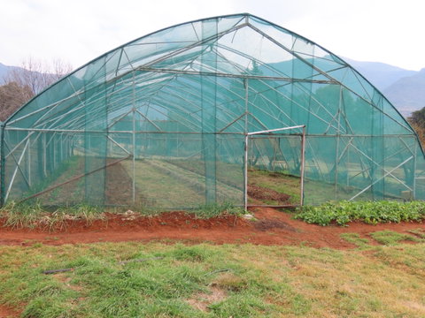 Polytunnel