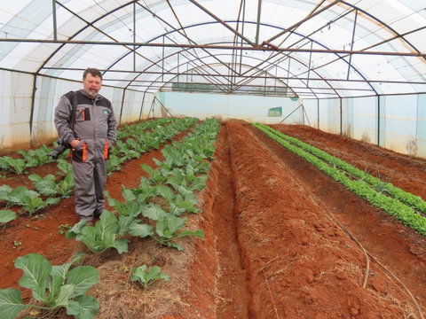 Polytunnel