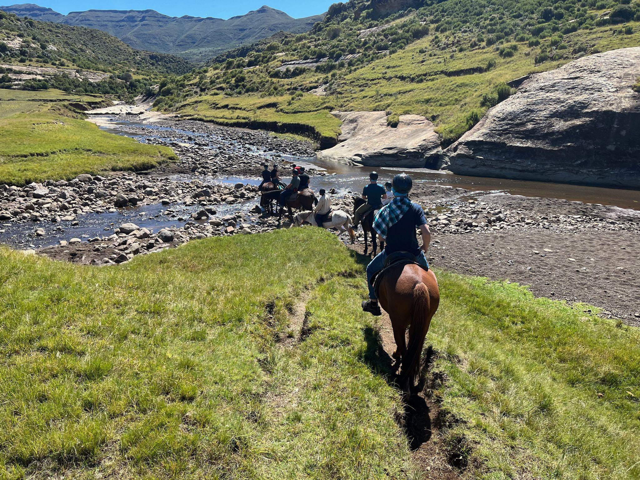 Pony Treks and Hikes