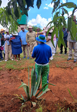 Teaching Farm at Malealea Lodge
