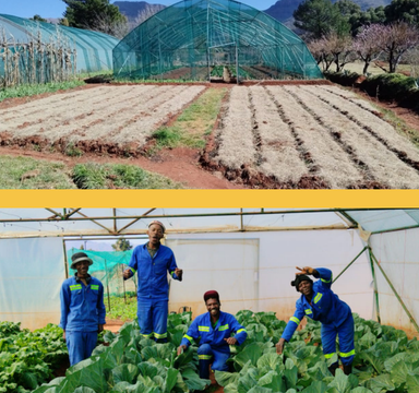 Teaching Farm at Malealea Lodge