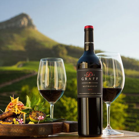 Wine Tours