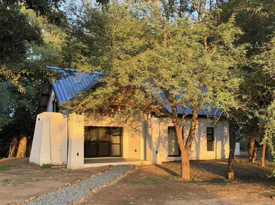 Acacia Suite