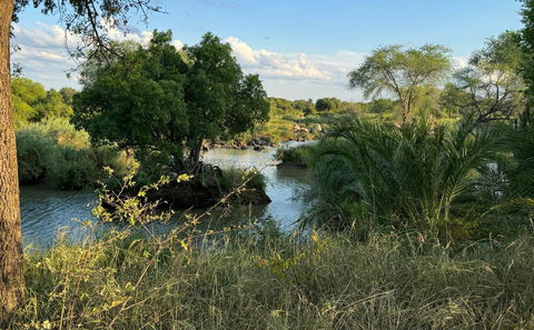 Bush and River Walks
