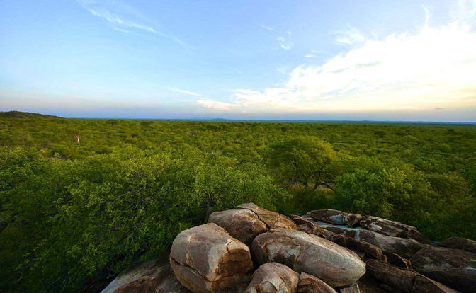 Limpopo-Lipadi