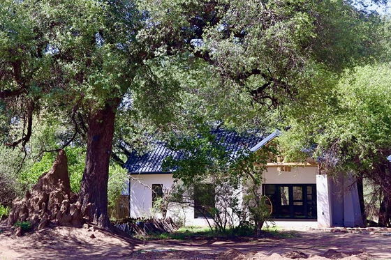 Molope Suite