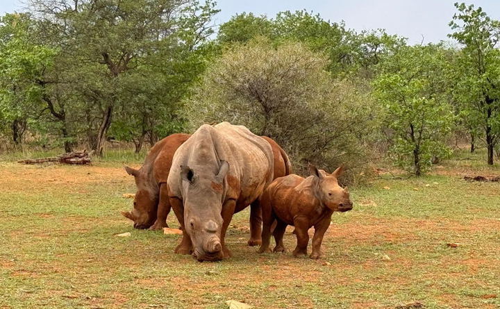 Conservation & Community
