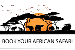 Southern Kruger Safaris