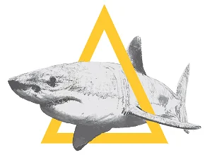 WSP