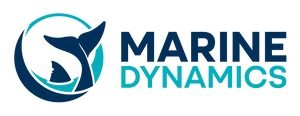 Dyer Island Cruises
